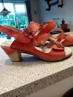 Nieuwe Laura vita zomerschoenen maat 37., Ophalen of Verzenden, Zo goed als nieuw, Sandalen of Muiltjes
