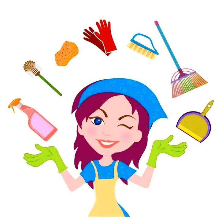 huishoudelijke hulp gezocht in Franeker, Diensten en Vakmensen, Huishoudelijke hulp, Schoonmaken, Strijken