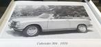 XXXL  Poster Peugeot 304 Cabrio Franse uitvoering zeldzaam, Ophalen of Verzenden