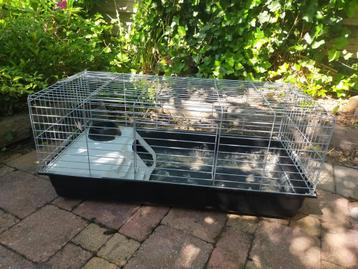 Grote cavia kooi voor binnen beschikbaar voor biedingen
