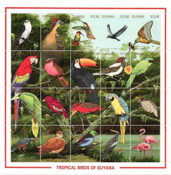 1990 Guyana Fauna Vogels Kolibries, Postzegels en Munten, Postzegels | Thematische zegels, Postfris, Dier of Natuur, Ophalen of Verzenden