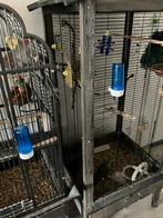 Mooie zo goed als nieuwe vogelkooi, Dieren en Toebehoren, Ophalen of Verzenden, Zo goed als nieuw, Hout, Vogelkooi