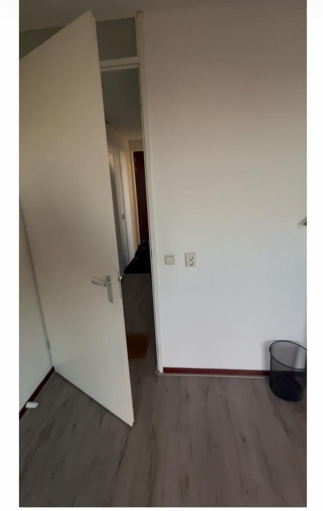 Gezocht: Werkende dame voor delen huur – Rotterdam, Huizen en Kamers, Kamers te huur, Rotterdam