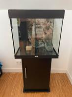 Aquarium 60x40x60, Ophalen, Gebruikt, Leeg aquarium