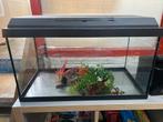 Aquarium 60x30x30, Dieren en Toebehoren, Vissen | Aquaria en Toebehoren, Ophalen of Verzenden, Zo goed als nieuw, Leeg aquarium