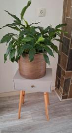 Plantentafel / bijzettafel / nachtkast met lade in taupe, Huis en Inrichting, Tafels | Bijzettafels, Minder dan 55 cm, Gebruikt