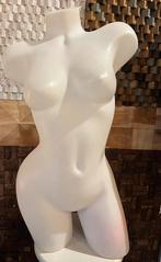 Lingerie/ badmode bustes polyethyleen wit, Kleding | Dames, Ophalen, Gedragen, Wit, Overige typen