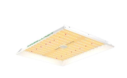 Mars Hydro TS 1000, Tuin en Terras, Kweekspullen, Nieuw, Kweeklamp, Ophalen