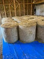 Midibalen rondbalen hooi, Dieren en Toebehoren, Dierenvoeding, Ophalen, Vee