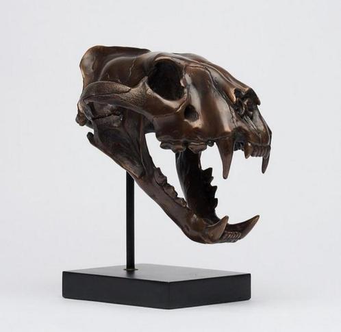 Sumatraanse Tijgerschedel  1:1 Bronzen replica, Antiek en Kunst, Kunst | Beelden en Houtsnijwerken, Ophalen of Verzenden