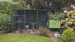 Kippen hok/ren verblijf, Dieren en Toebehoren, April, Meerdere dieren