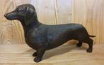Bronzen beeld / TECKEL / 35 cm lang / tekkel / reu