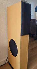2 staande Speakers, 200W, merk Koda, Audio, Tv en Foto, Luidsprekers, Zo goed als nieuw, 120 watt of meer, Front, Rear of Stereo speakers