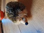 EGEL PLUCHE 🦔🦔🦔, Kinderen en Baby's, Speelgoed | Knuffels en Pluche, Ophalen of Verzenden, Nieuw, Overige typen