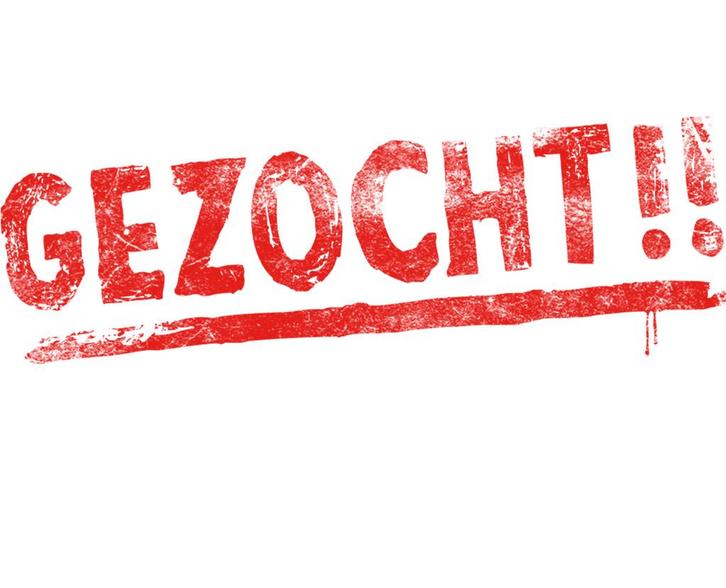 Weidemaatje gezocht!, Dieren en Toebehoren, Stalling en Weidegang, Weidegang, 2 of 3 paarden of pony's