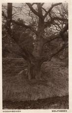 Wolfheze  Wodanseiken, Ophalen of Verzenden, 1920 tot 1940, Gelopen, Noord-Brabant
