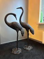 Echte bronze kraamvogels, Verzenden