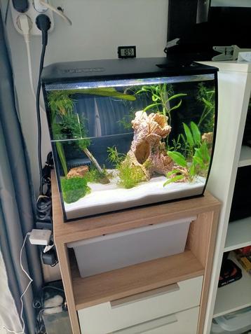 Mooi helemaal complete aquarium met gebogen glas in Rotterda beschikbaar voor biedingen