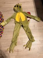 Carnaval pak draak, Ophalen, Gebruikt, Jongen of Meisje