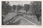 960563 Haastrecht vanuit de Steinse dijk de Vlist ZH Nette, Ophalen of Verzenden, 1940 tot 1960, Ongelopen, Zuid-Holland