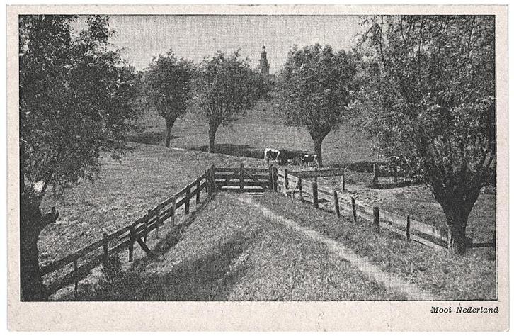960563 Haastrecht vanuit de Steinse dijk de Vlist ZH Nette, Verzamelen, Ansichtkaarten | Nederland, Ongelopen, Zuid-Holland, 1940 tot 1960