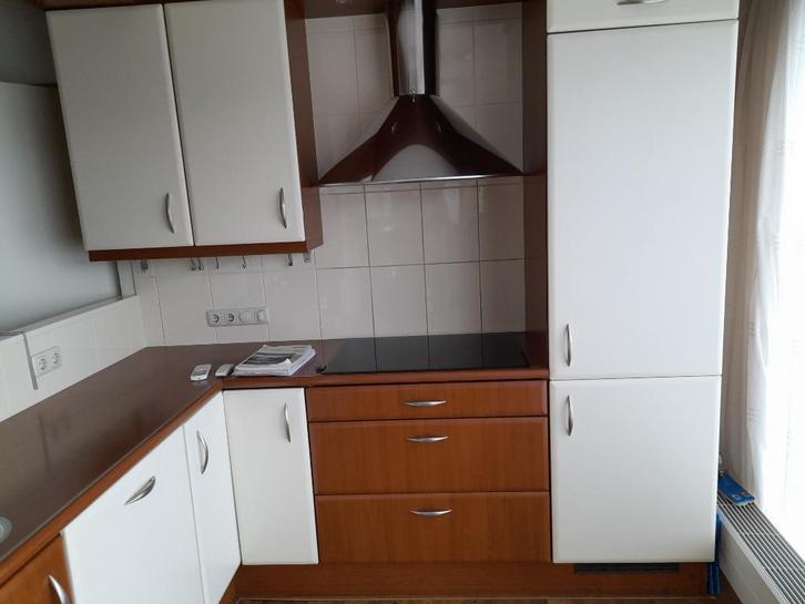 rvs afzuigkap Pelgrim, Witgoed en Apparatuur, Kookplaten, Zo goed als nieuw, Inbouw, Inductie, 4 kookzones, Ophalen of Verzenden