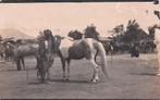 Nederlands Indië FOTOKAART - man met paard op markt? 1912?, Ophalen of Verzenden, Voor 1920, Gelopen, Buiten Europa