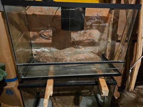 Terrarium 60x30x40, Dieren en Toebehoren, Reptielen en Amfibieën | Toebehoren, Gebruikt, Terrarium of Paludarium, Ophalen