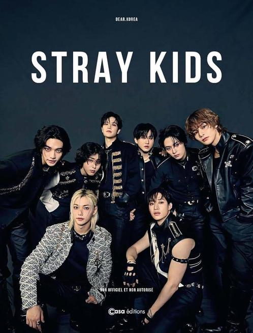 Stray Kids | 2x vak 107 rij 19 | 11 Juli | Johan Cruijff, Tickets en Kaartjes, Concerten | Pop, Twee personen, Juli