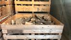 Haardhout kachelhout €140 voldoende voorraad, Tuin en Terras, 6 m³ of meer, Ophalen, Blokken