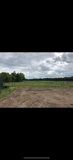 Tot 8 boxen en weidegang, Dieren en Toebehoren, Stalling en Weidegang, Weidegang