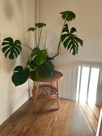 Rotan bamboo vintage bijzettafel, Huis en Inrichting, Tafels | Bijzettafels, Ophalen, Rond, Minder dan 55 cm, 45 tot 60 cm