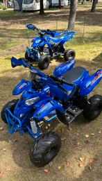 Midi quad gepard cyclops 800w, Fietsen en Brommers, Minibikes, Midibikes en Pitbikes, Ophalen, Gebruikt, Overige typen, Gepard