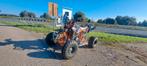 QUAD EATV, Motoren, Quads en Trikes, 2 cilinders, 950 cc, Meer dan 35 kW