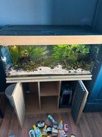 Juwel rio 180 hout kleur, Dieren en Toebehoren, Vissen | Aquaria en Toebehoren, Ophalen, Zo goed als nieuw, Plant(en), Steen of Hout