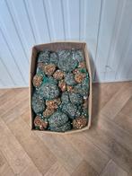 Opruiming koppelslinger pinda +zonnepit volle doos 15 st, Dieren en Toebehoren, Verzenden, Nieuw, Eten en Drinken