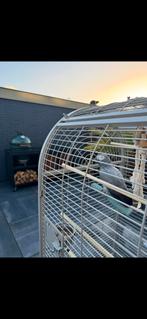 Grijze Roodstaart papagaai, Ophalen of Verzenden, Zo goed als nieuw, Metaal, Vogelkooi