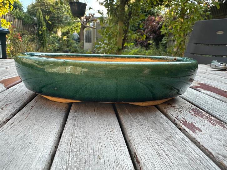 Bonsaischaal groen, Tuin en Terras, Bloempotten, Gebruikt, Aardewerk, Binnen, Balkon, Tuin, Minder dan 40 cm, Minder dan 25 cm