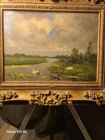 Eendenfamilie aan de waterkant  beschikbaar voor biedingen