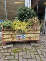 Stalen bakken van Kruizinga 125x85x70cm, Ophalen, Gebruikt, 100 cm of meer, Metaal