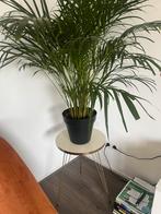 Leuk bijzettafeltjes met gouden poten, Huis en Inrichting, Tafels | Bijzettafels, Minder dan 45 cm, Minder dan 55 cm, Metaal of Aluminium