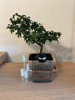 Chanel Allure Homme Sport Superleggera parfum sample/decant, Ophalen, Zo goed als nieuw