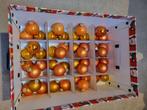 Oranje terra kerstballen (glas) / kerstversiering in doos, Diversen, Kerst, Ophalen, Gebruikt