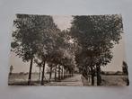Waalre, laan nabij de Volmolens, Verzamelen, Ansichtkaarten | Nederland, Ophalen of Verzenden, Voor 1920, Noord-Holland