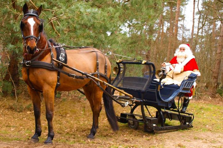 Arrenslee te huur voor kerstmarkten, Hobby en Vrije tijd, Feestartikelen | Verhuur, Gebruikt, Kerst of Sinterklaas, Ophalen