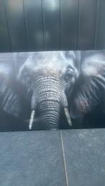 Mooie olifant 50x30, Ophalen of Verzenden, Zo goed als nieuw, Schilderij, Minder dan 50 cm