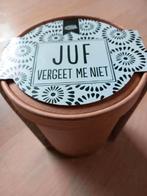 Cadeau juf school, Ophalen of Verzenden, Voorjaar, Volle zon, Zaad