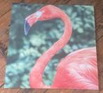 Canvasdoek flamingo, Huis en Inrichting, Woonaccessoires | Schilderijen, Tekeningen en Foto's, Ophalen