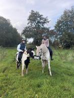 enthousiast leaser(tje) gezocht