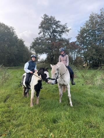enthousiast leaser(tje) gezocht  beschikbaar voor biedingen